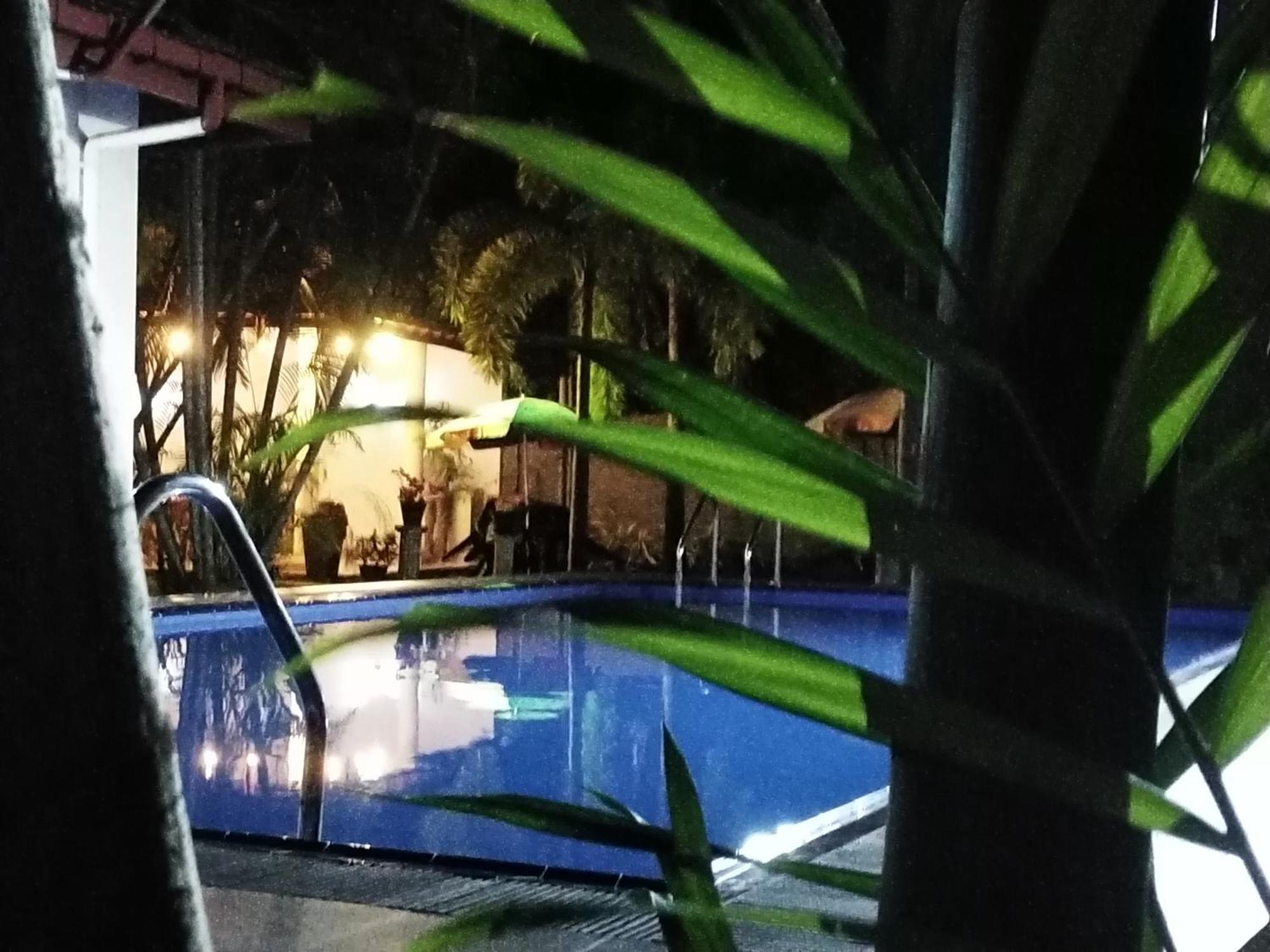 נגומבו Blue Bell Hotel מראה חיצוני תמונה